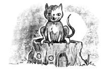 chat au sommet d'une ville souris